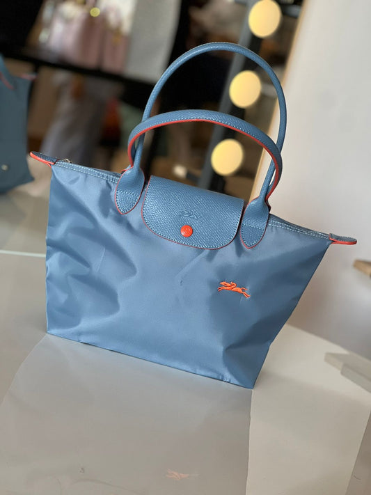 Medium Longchamp bag MASTERPIECE