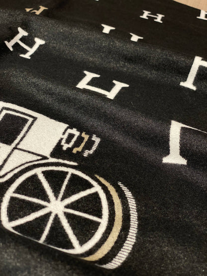 Hermes Scarf